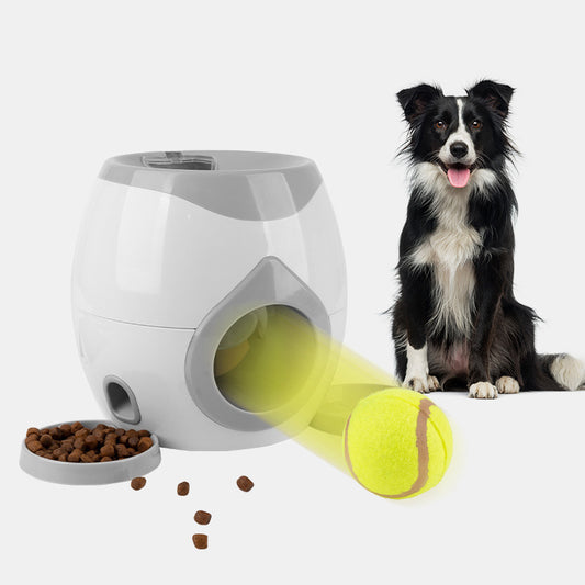 Pet Treat Dispenser