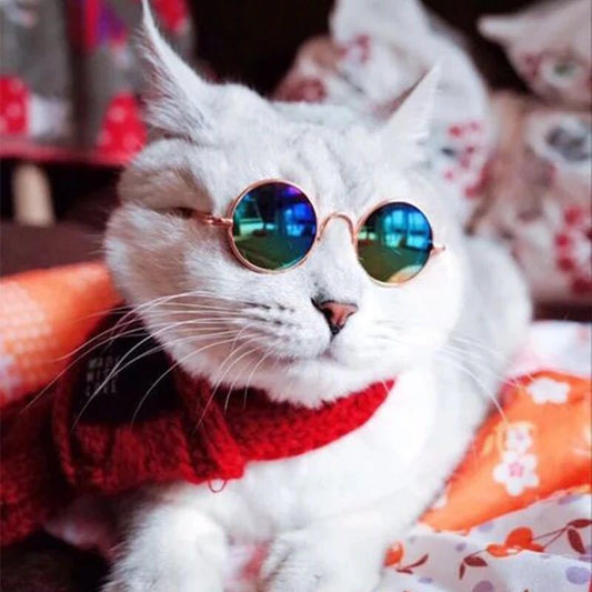 Round Frame Pet Sunglasses
