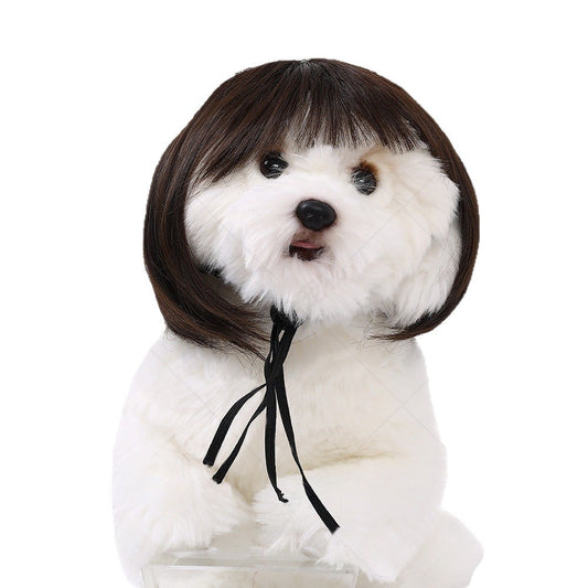 Pet Costume Wig